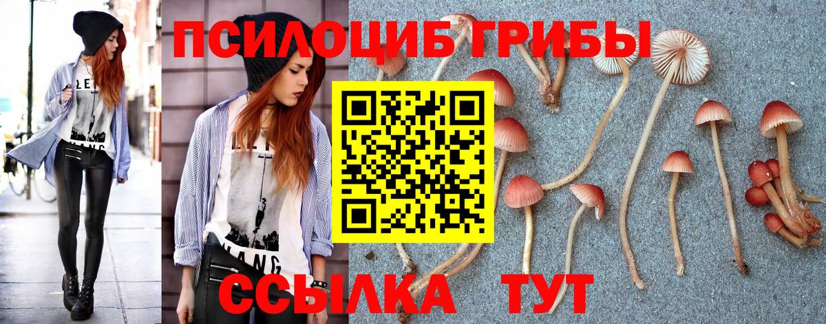 Галлюциногенные грибы MAGIC MUSHROOMS Баксан
